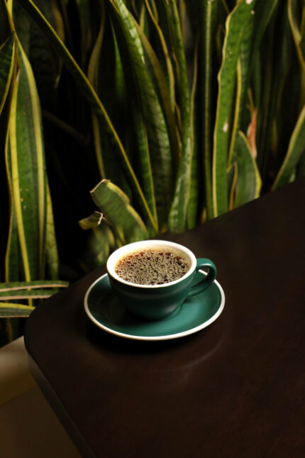 قهوة اليوم صغير حار/باردة